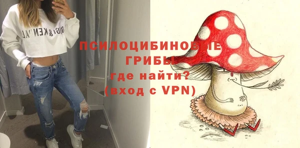 a pvp Абаза