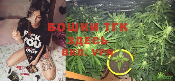 PSILOCYBIN Абинск