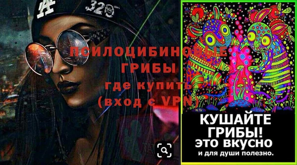 PSILOCYBIN Абинск