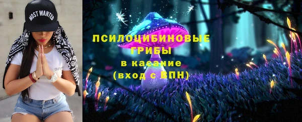 PSILOCYBIN Абинск