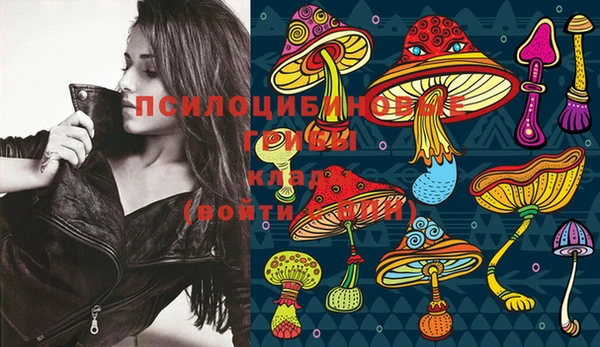 PSILOCYBIN Абинск