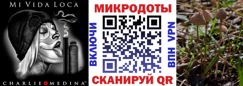 MEGA ссылка  Усолье  Галлюциногенные грибы мухоморы  купить  цена 