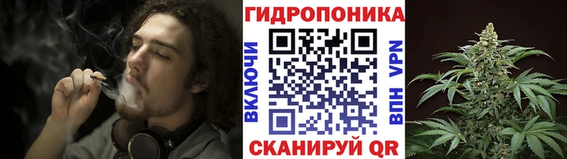 даркнет сайт Усолье Каннабис OG Kush